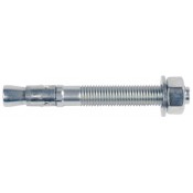 Steel Anchor Bolts FBN II
