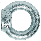Ring Nut RI